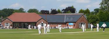 The_Flacca cricket