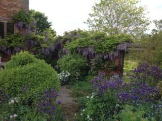 garden 2