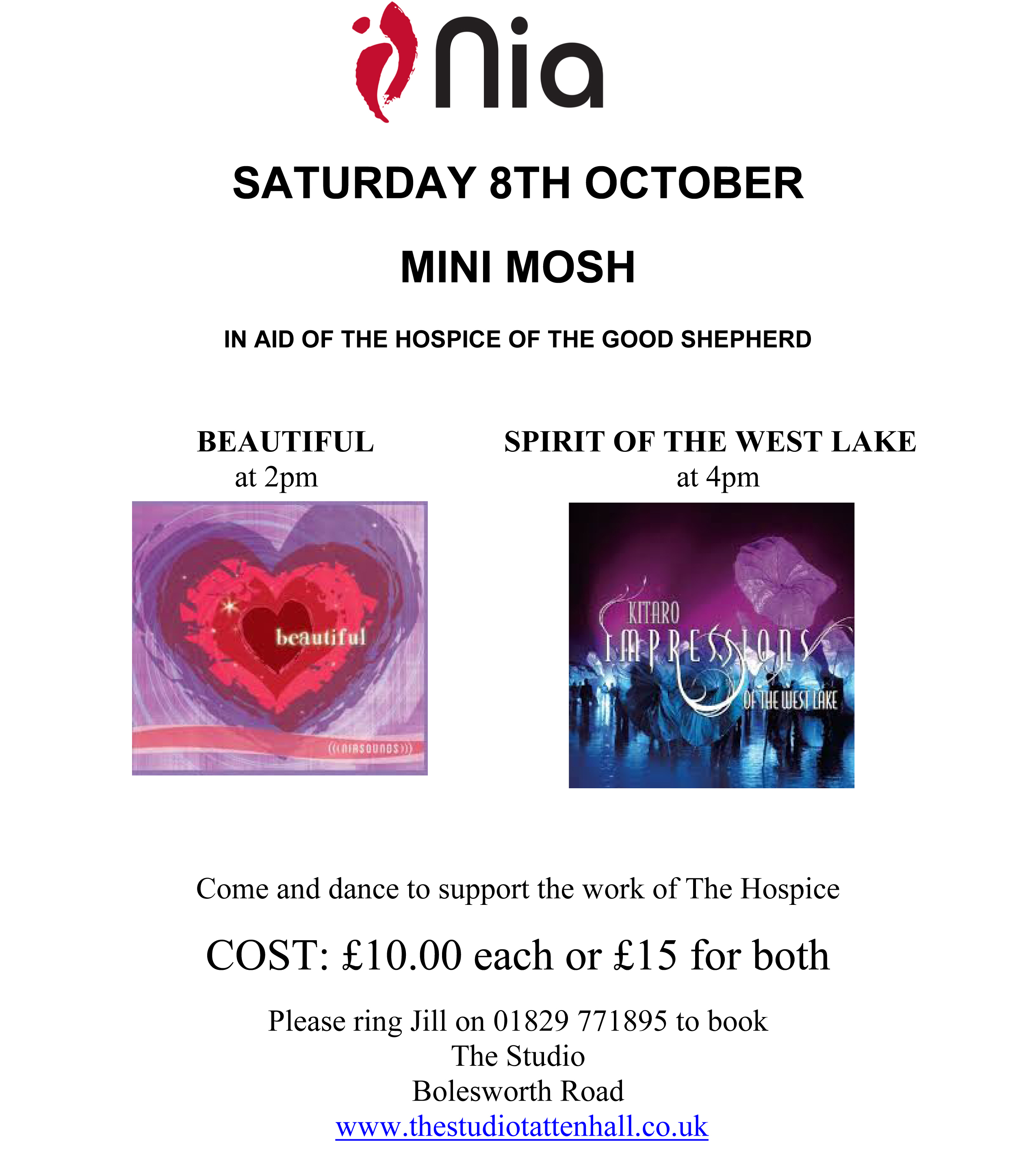 Mini Mosh Poster2