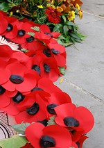 Poppies