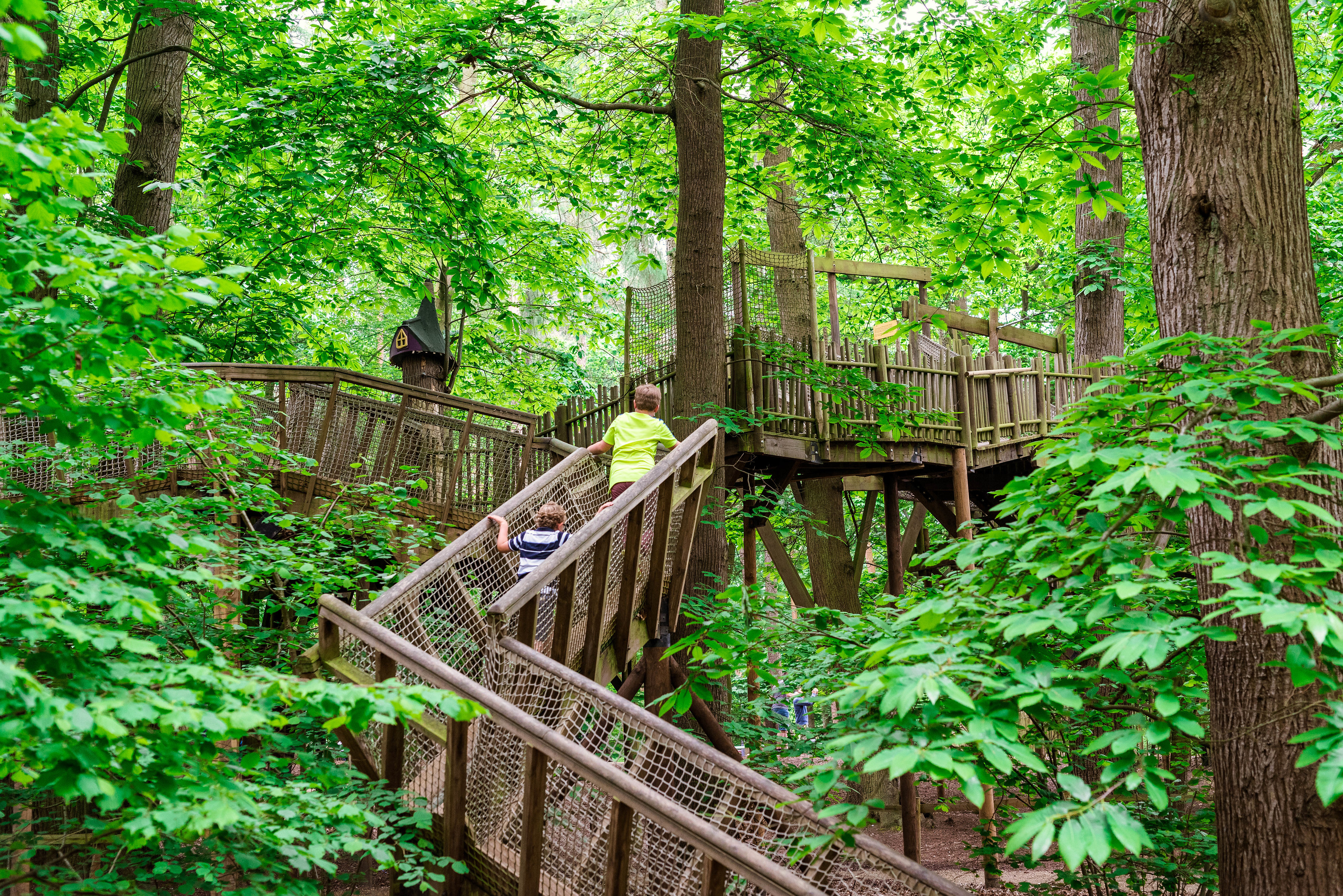 BeWILDerwood Cheshire Trail
