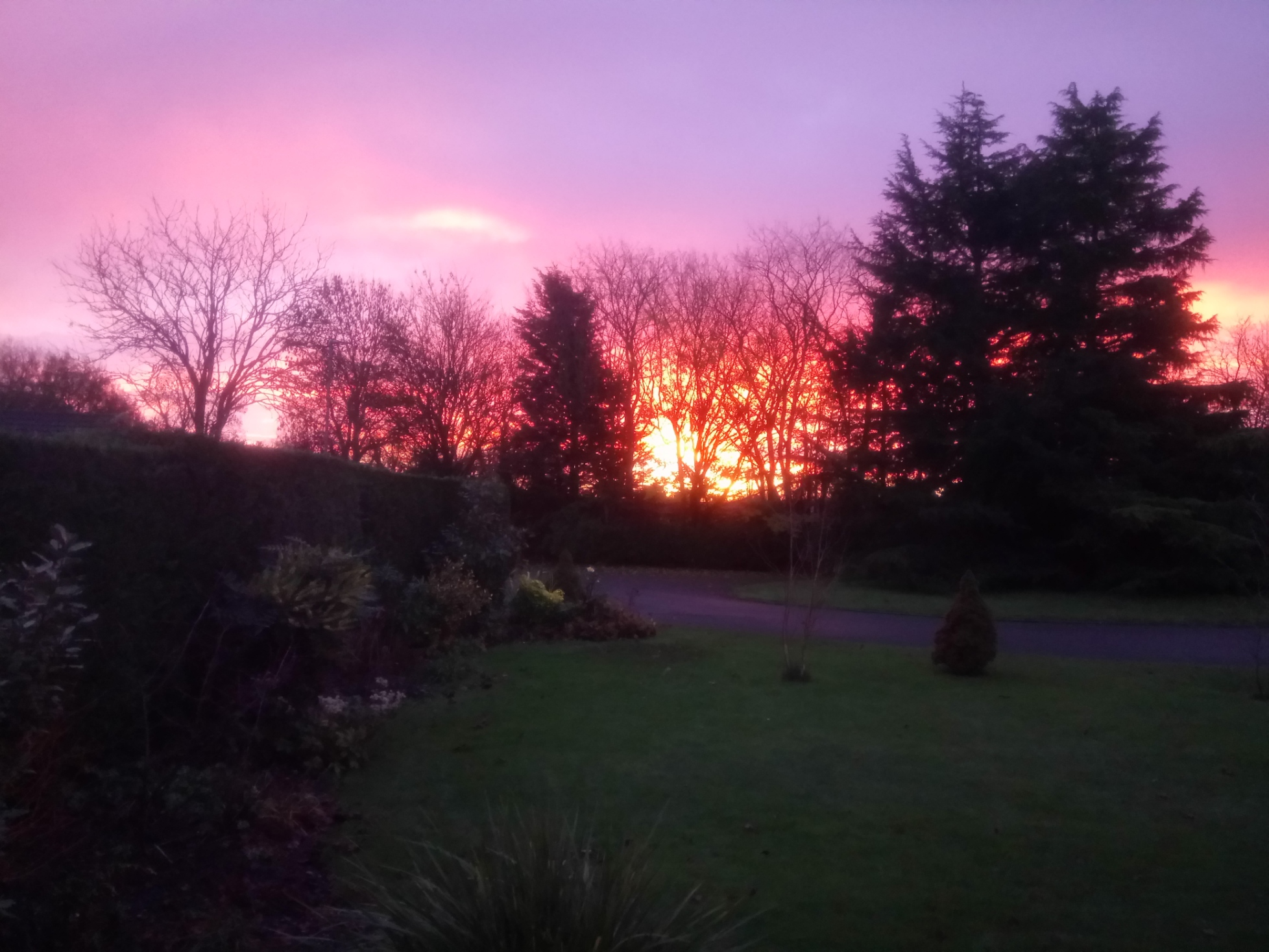 buerton dawn