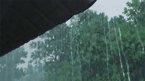 rain image jpg