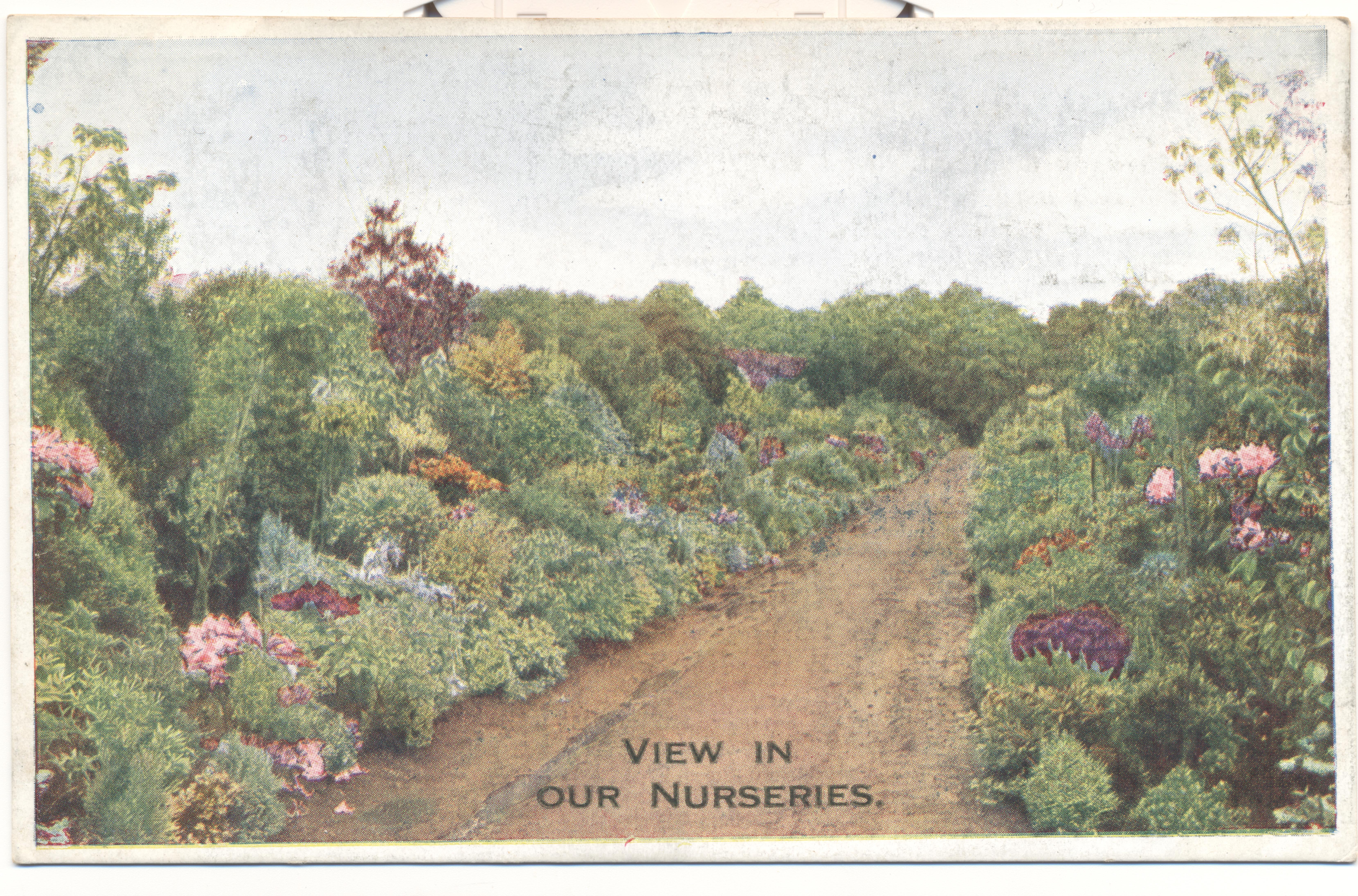 Border_postcard_1_incdpi