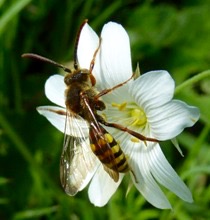 PHOTO-2020-05-02-12-57-04