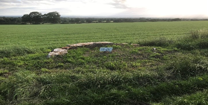 Remains of one of the 12 apostle trees