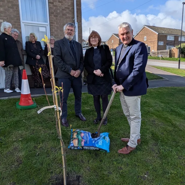 Tree Planting