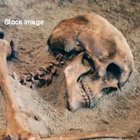 Skeleton_stock Image