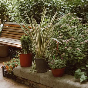 A serene outdoor scene with a wooden bench