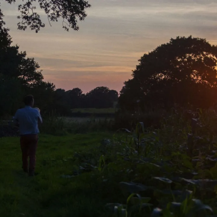Sunset Walk Through The Farm Fields