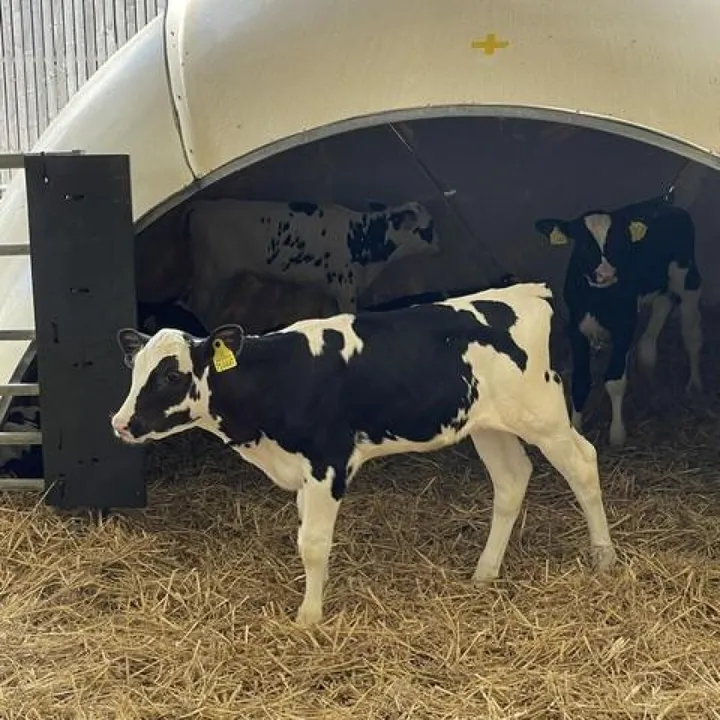 Farm 3