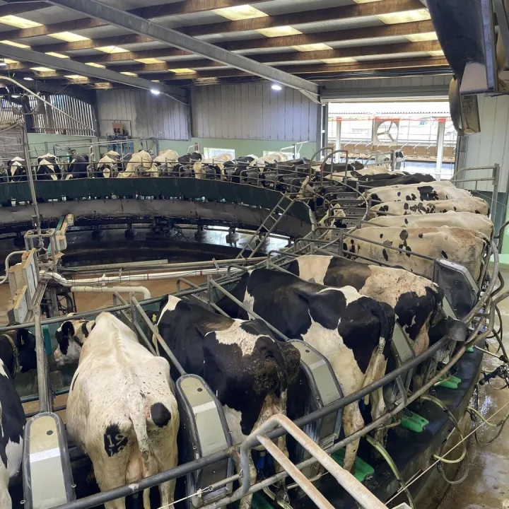Farm 10