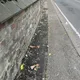 Whitchurch Road from Hollybank
