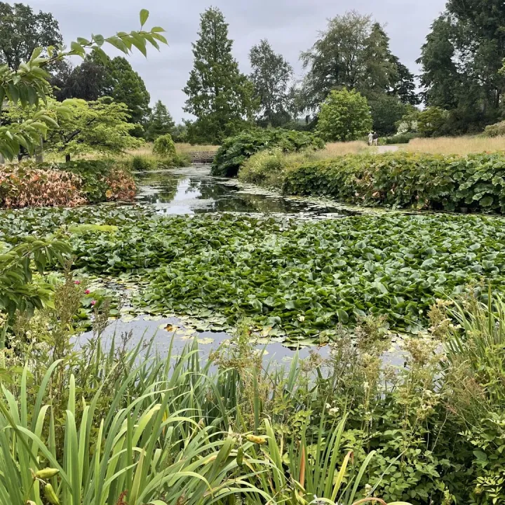 Cholmondely Gardens