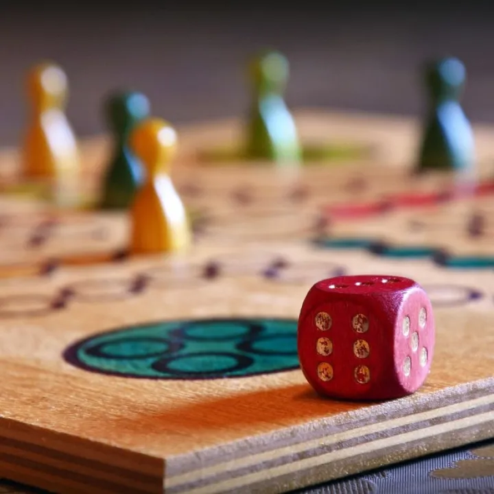 Game, board game, dice, human don't be angry