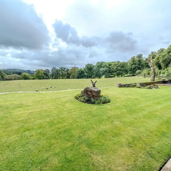 882899_strip_views