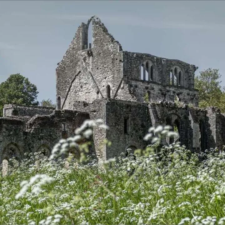 Haughmond Abbey