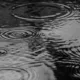 Puddle, nature, water, rain, splash, monochrome