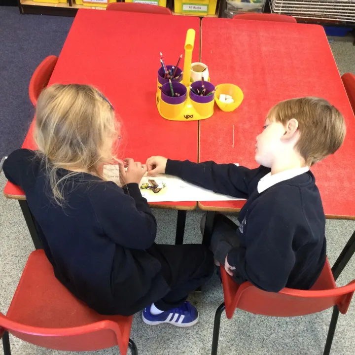 Y1 perfect partner