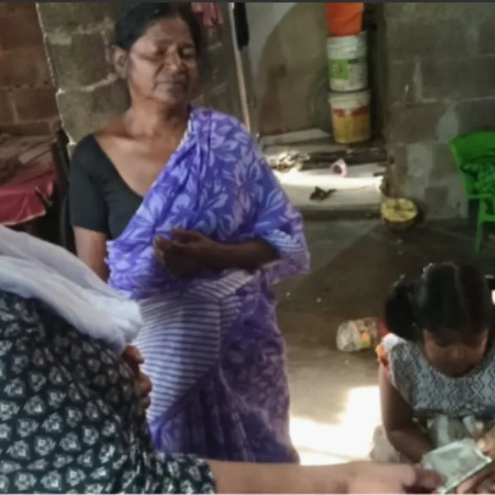 Brockton Harvest – Family 2