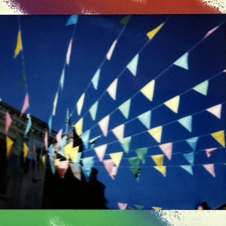 J3_Maya_Summer Falmouth Bunting (Polaroid)