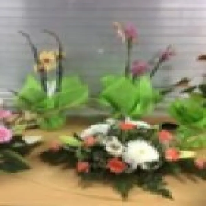 Flower Club 1 July 2015