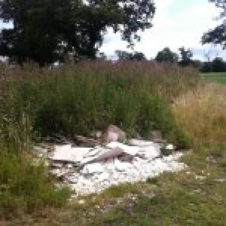 unnamed (5)