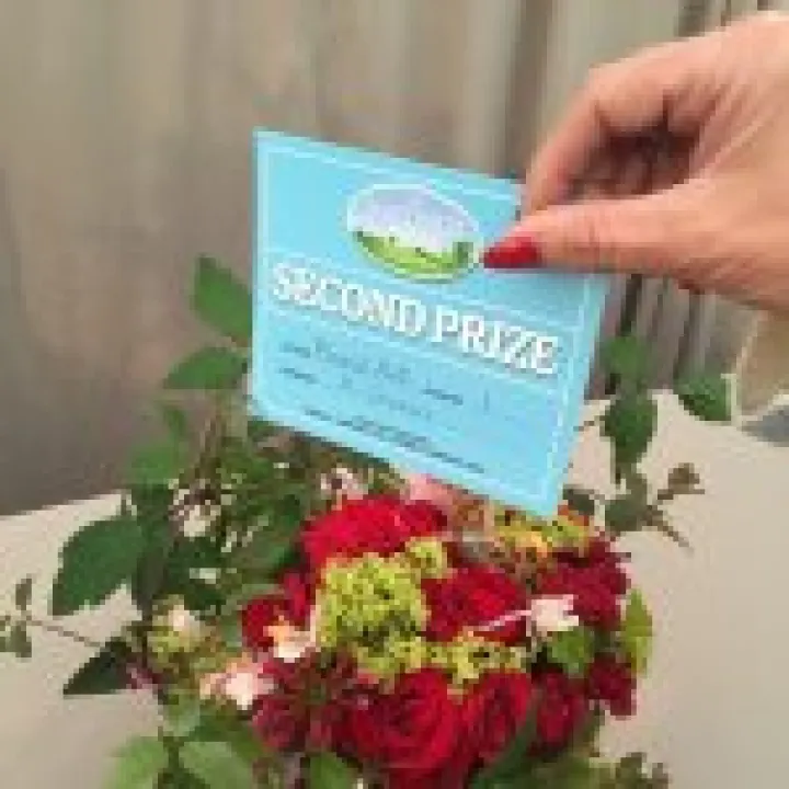 Nantwich Show 2015