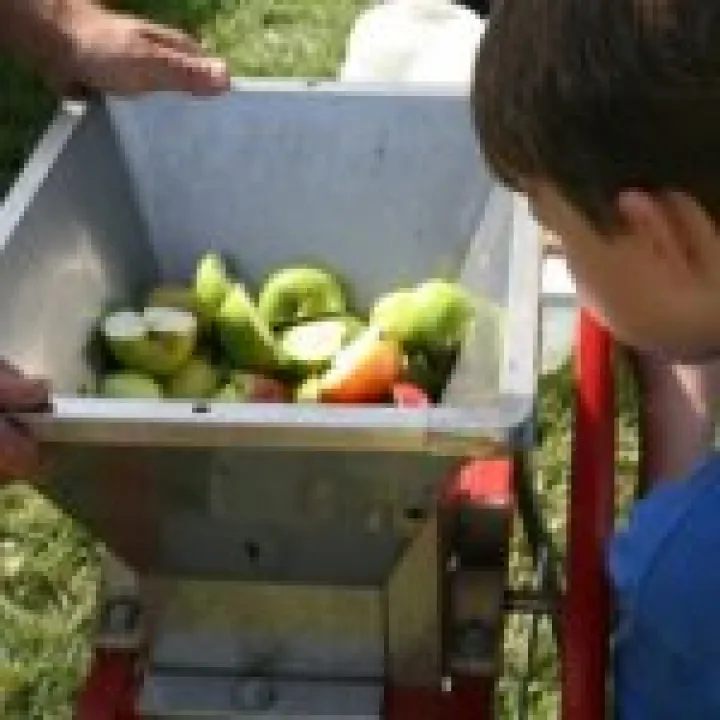 Community Orchard 03