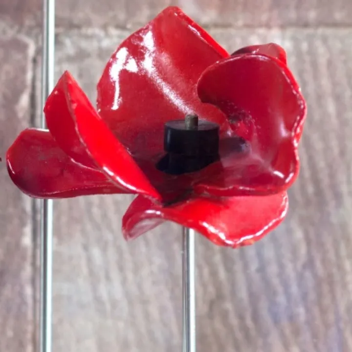 TowerPoppies
