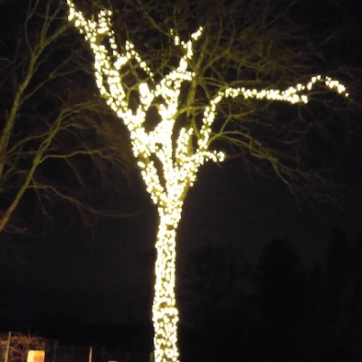 20151221_183912_Burst02
