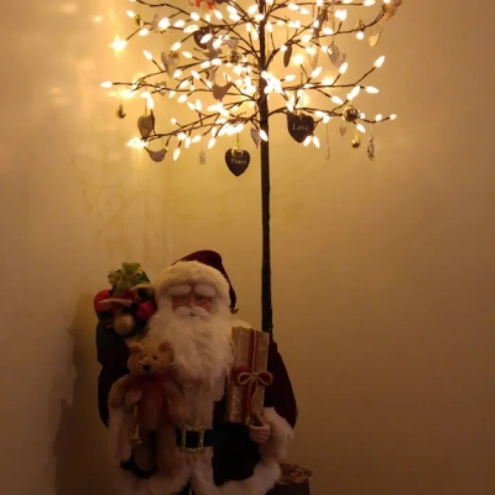 20151221_182910_Burst01_resized