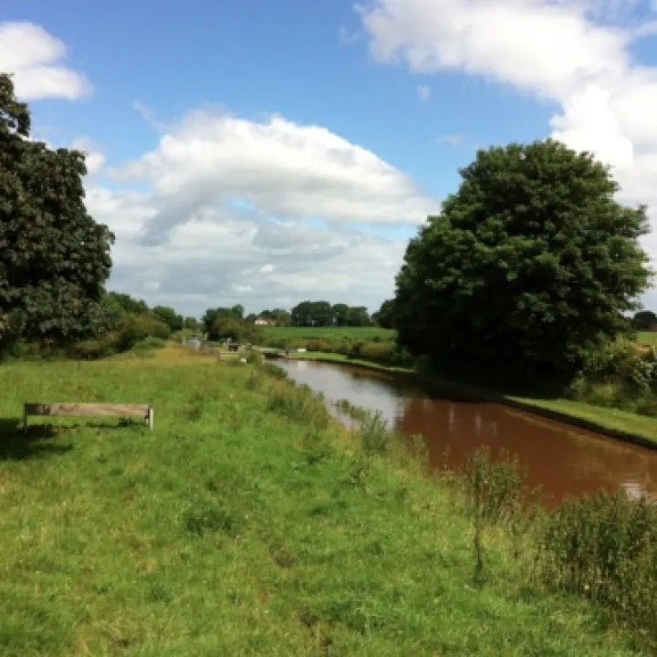 June Walk