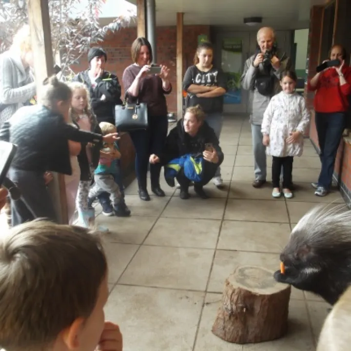 Mon club visit to Reaseheath, porcupine