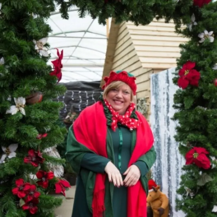Sue Provides the Elf Service