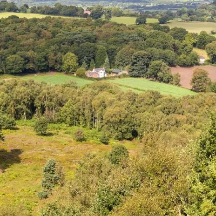 Maiden Castle in August 51