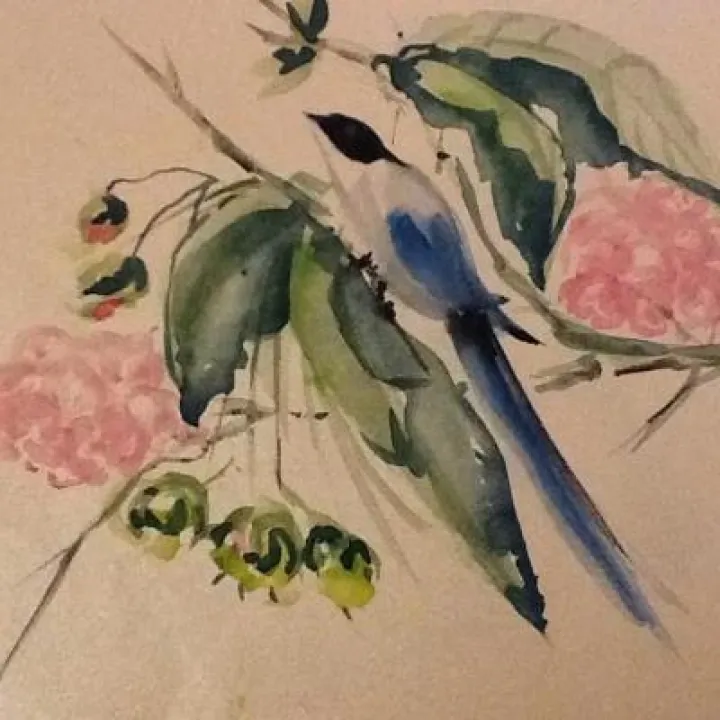 unnamed (7)