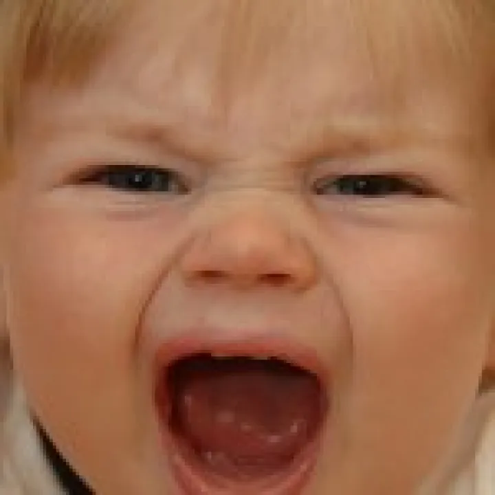 Terrible Twos 04