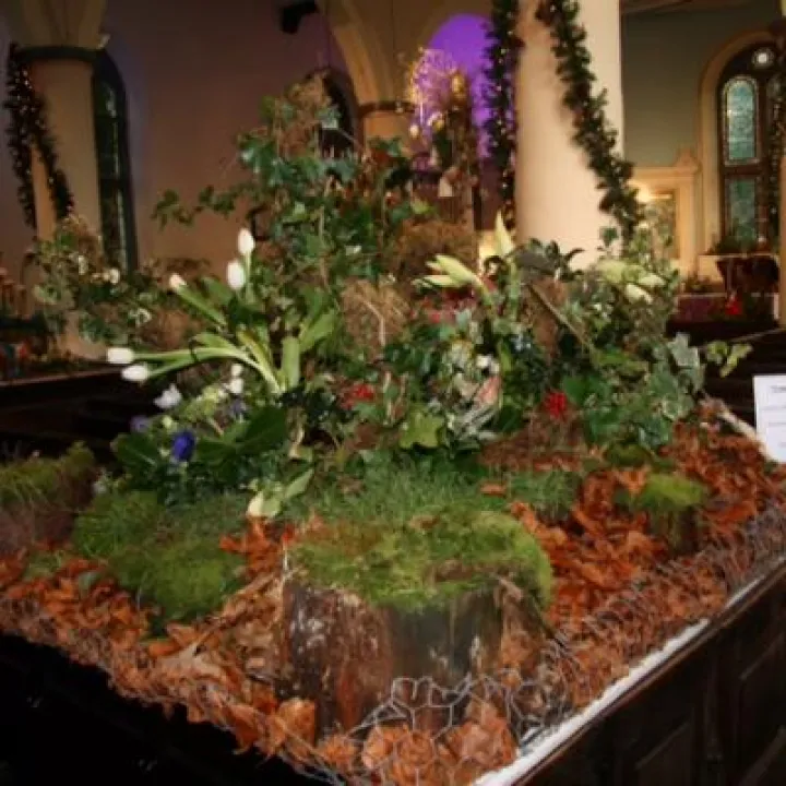 flower show13