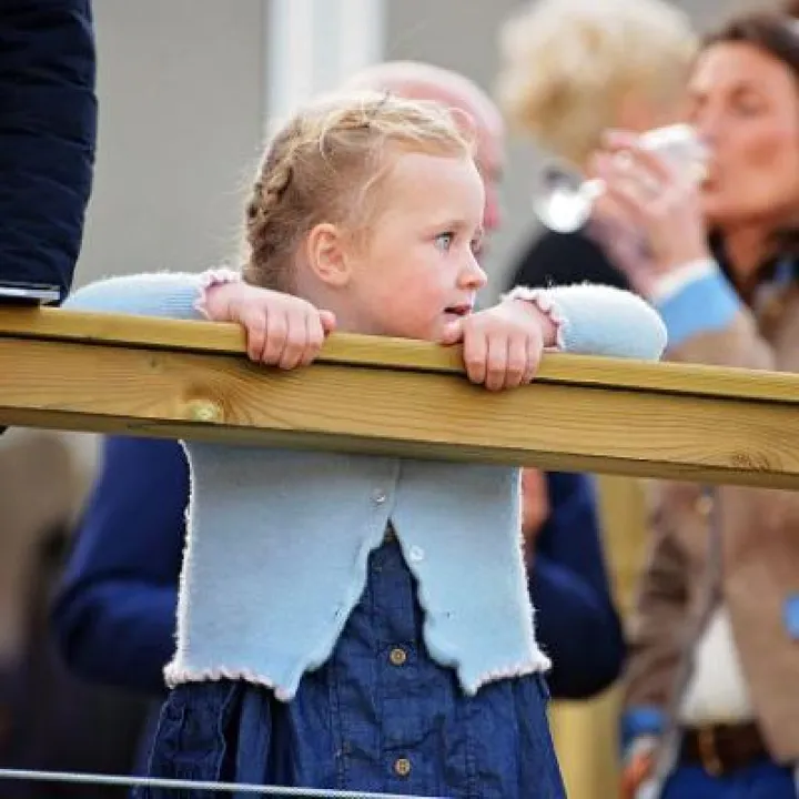 Bolesworth Show-1
