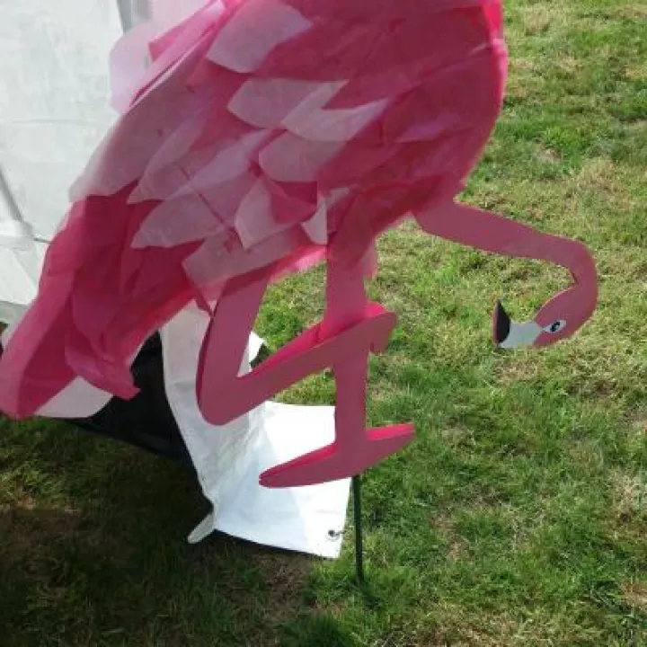 Flamingo Jean Jones