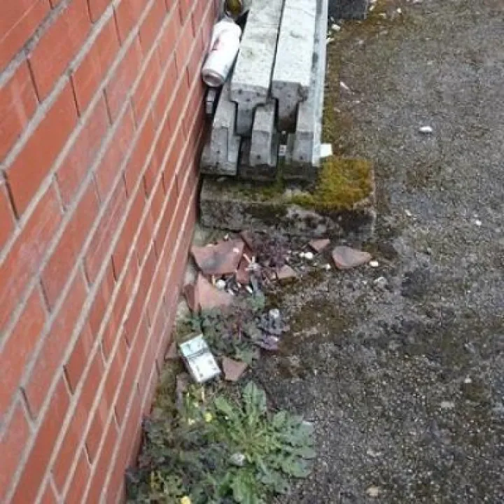 litter 3