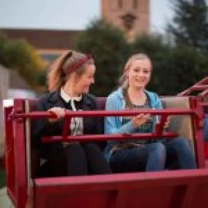 Haddenham Fair 25
