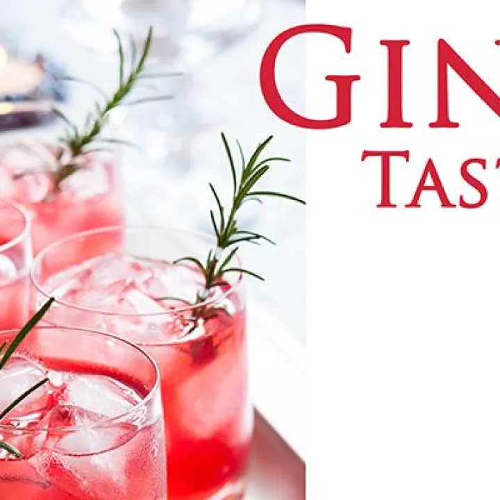 gin2