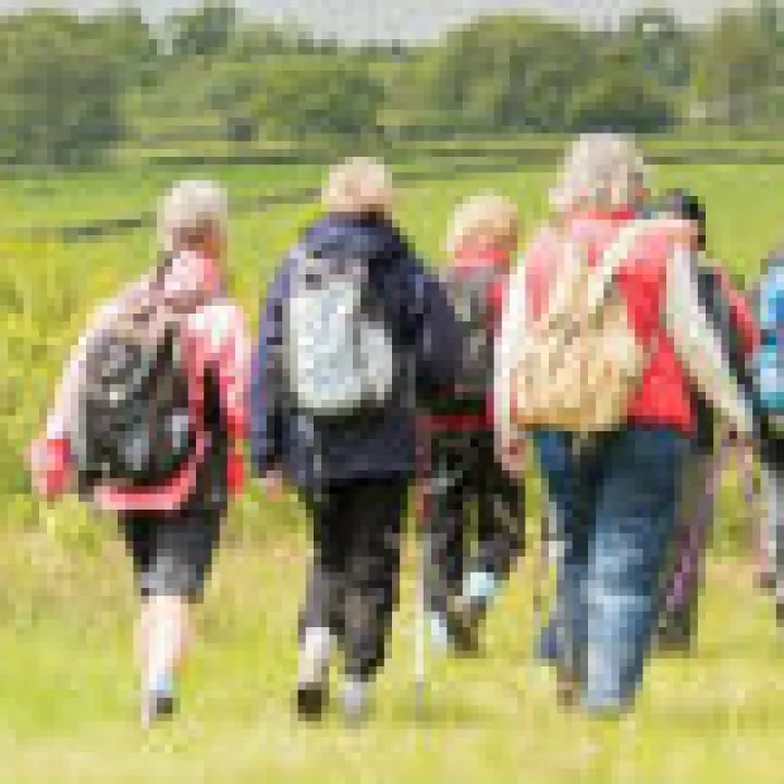 Southwell Strollers