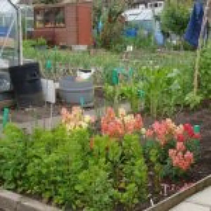 allotment 05