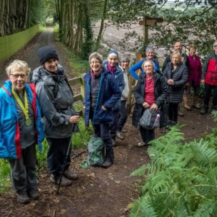 Frodsham Hill Walk