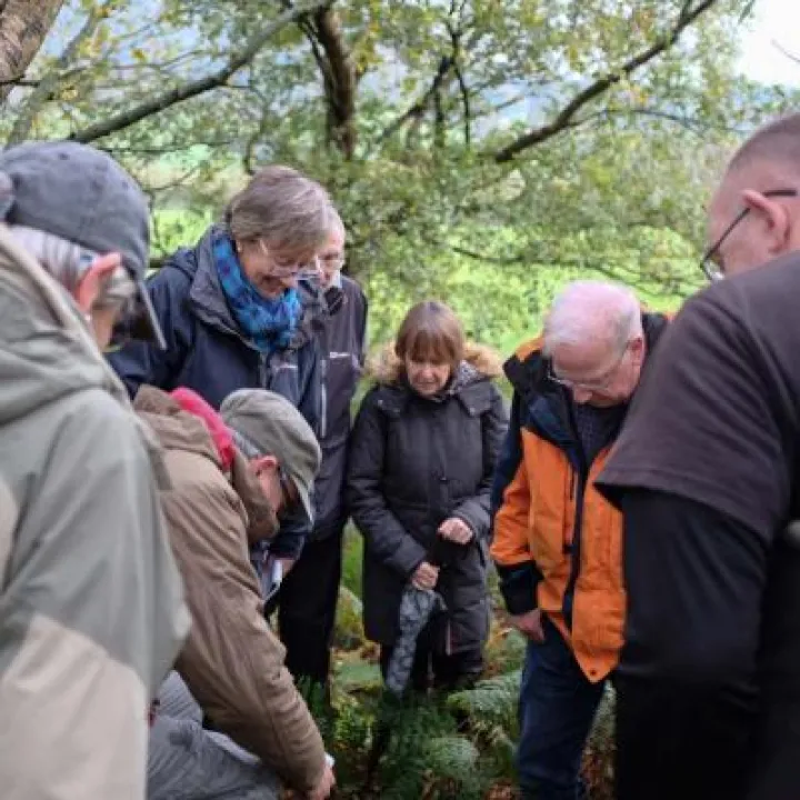 Fungal Foray 11