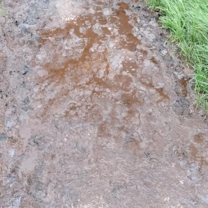 HenWirFootpath-1