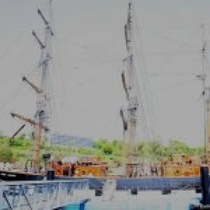 20080513 0005